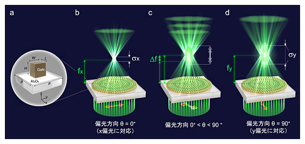 日本理化学研究所（RIKEN）开发出超薄变焦透镜